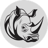 RocketSingh logo