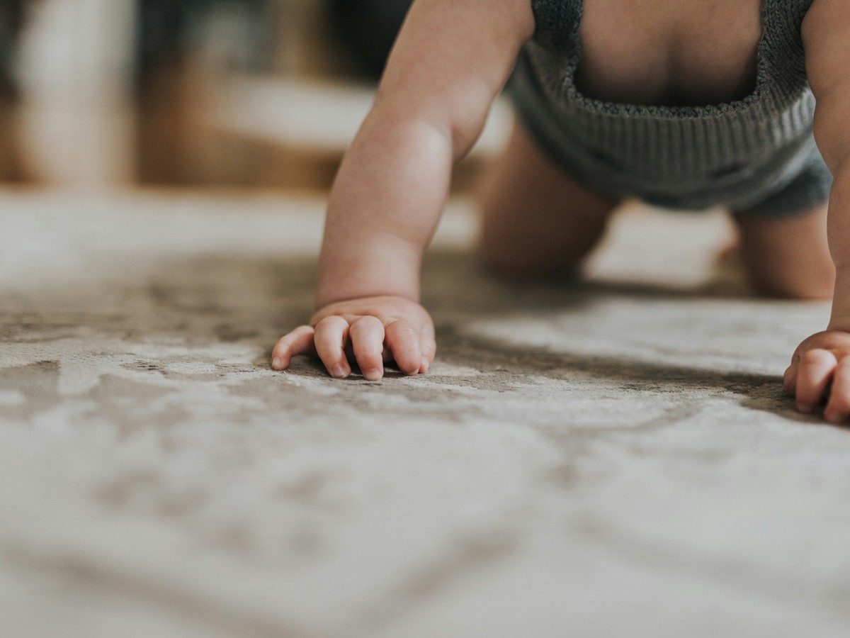 Carpet Sanitization