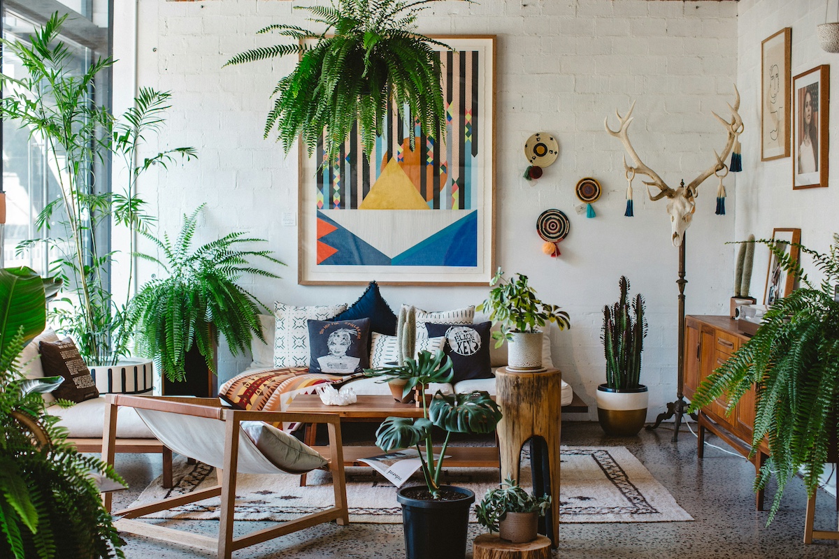 Indoor Planting in Chennai