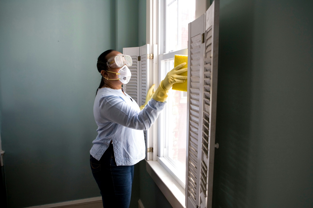 Pest Control in Chennai